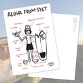 Postkarte Surf Memories, Surfspots Aloha from Sylt 