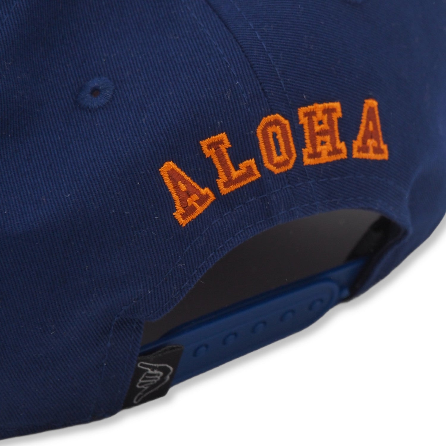 Baseball-Cap Academic
