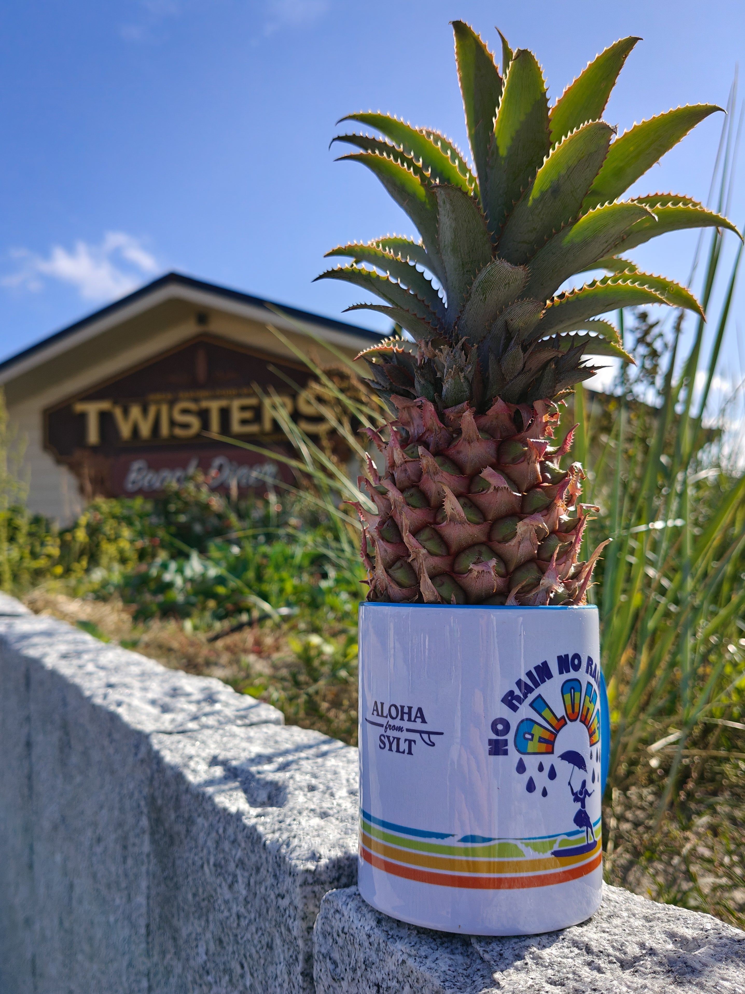 Twisters Sylt Tasse No Rain No Rainbow mit Ananas