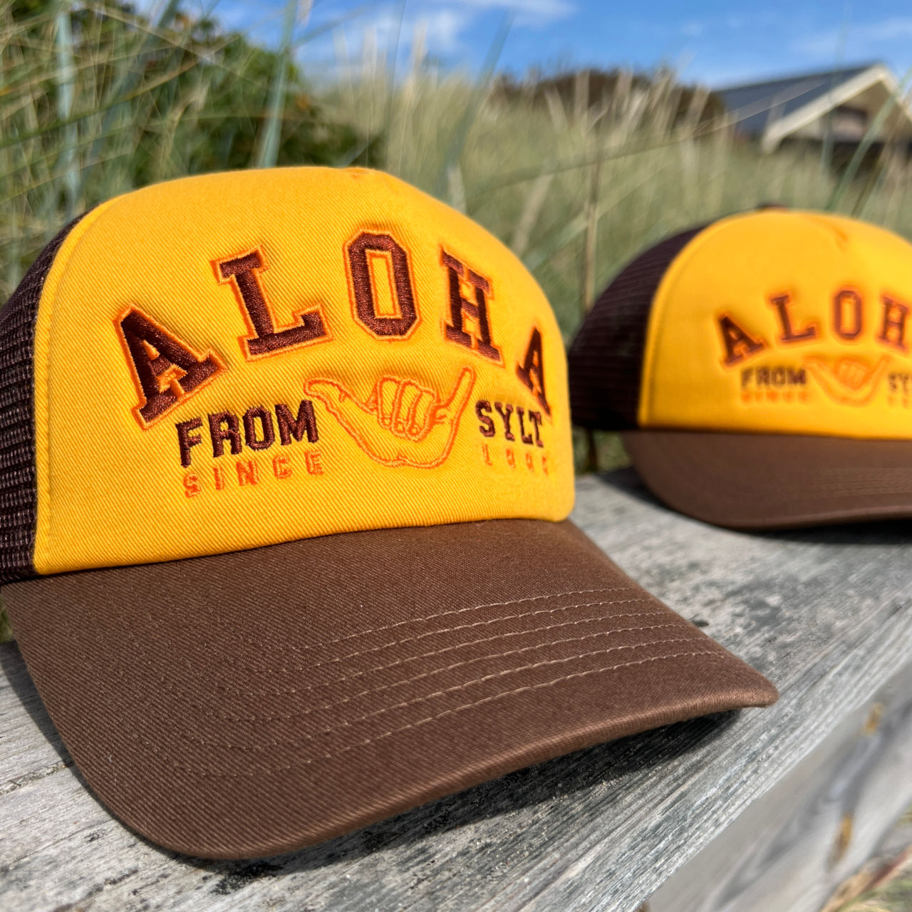 Mesh-Cap Academic
