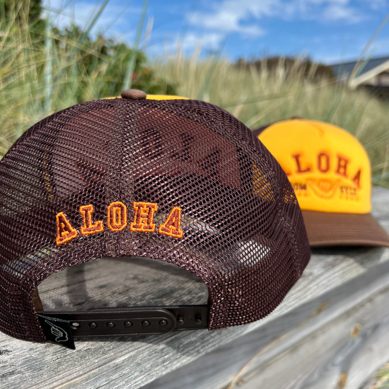 Mesh-Cap Academic