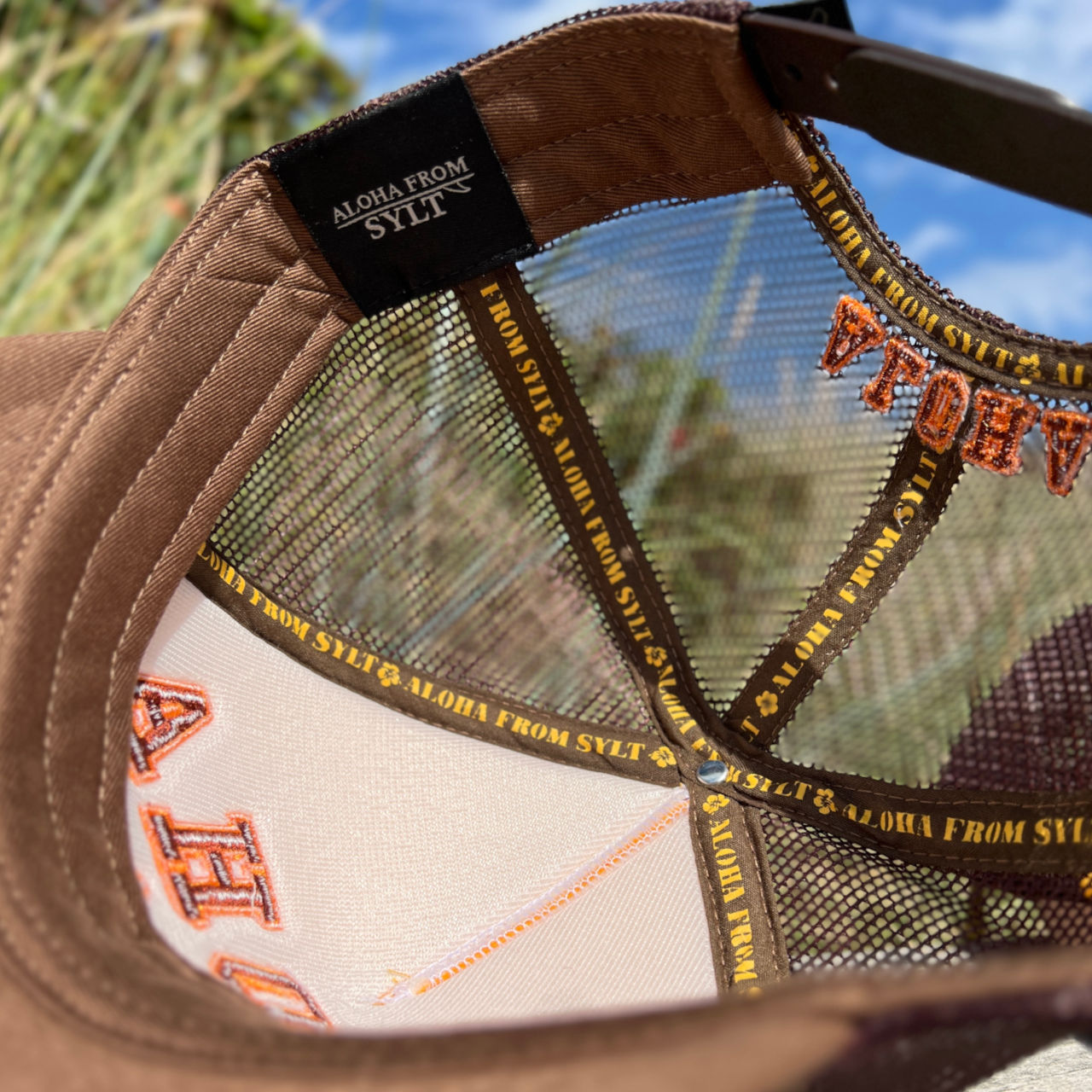 Mesh-Cap Academic