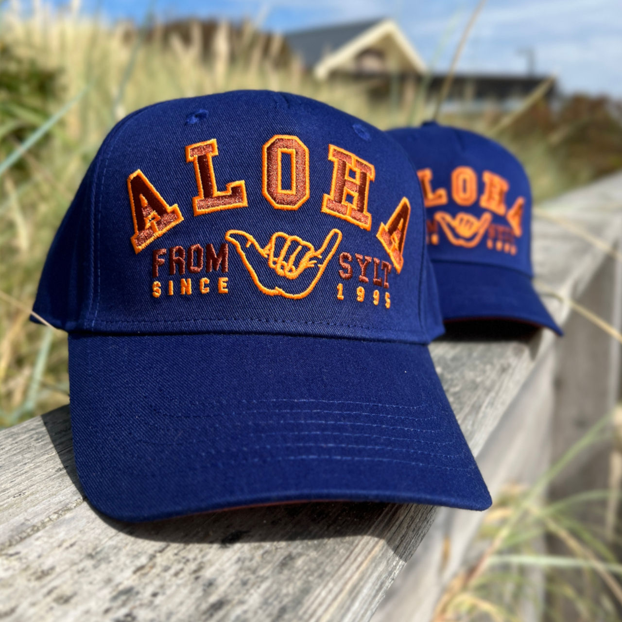 Baseball-Cap Academic