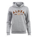 Hoodie - Academic 2.0